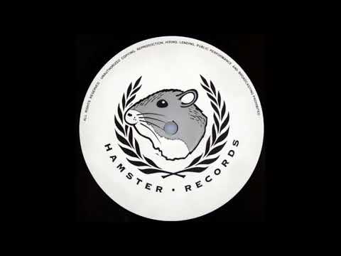 Terrorize — Terrorize - It's Just A Feeling (Sy-Kick Mix) 1992 Breakbeat