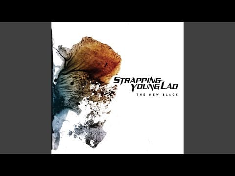 Strapping Young Lad — Decimator