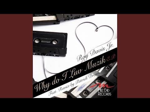 Roy Davis Jr. — Why Do I Luv Muzik (Patrick Dream Slight Re-Rub)