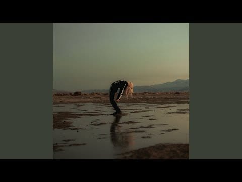 Phoebe Bridgers — Punisher (Copycat Killer Version)