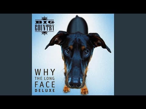 Big Country — Vicious