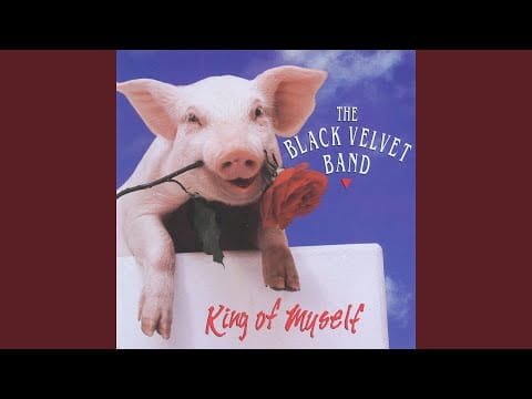 The Black Velvet Band — I Like You Better (When You're Down)
