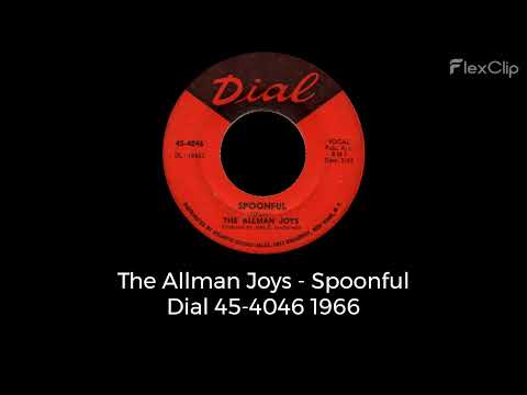 The Allman Joys — The Allman Joys - Spoonful