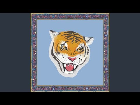 Swet Shop Boys — Tiger Hologram