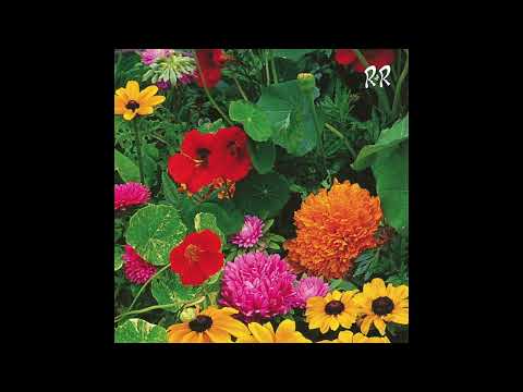Steve Huerta — Huerta - Sylvio's Dream (RNR001)