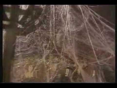 The Dogs D'Amour — The Kid from Kensington