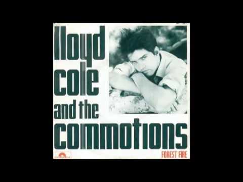 Lloyd Cole & The Commotions — Lloyd Cole & the Commotions - Forest Fire [extended] (1984)