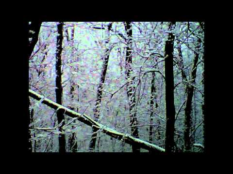 Dolly Mixture — The Dolly Mixture "Winter Seems Fine"