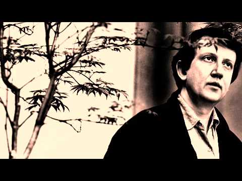 Wim Mertens — Wim Mertens - Their Duet