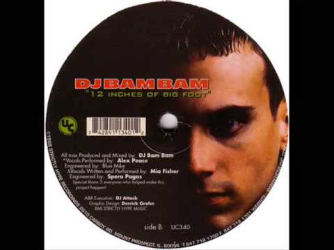 DJ Bam Bam — DJ BAM BAM - A BETTER DAY