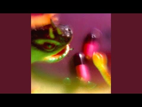 Bush Tetras — Mouse
