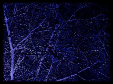 The Caretaker — The Caretaker - a stairway to the stars