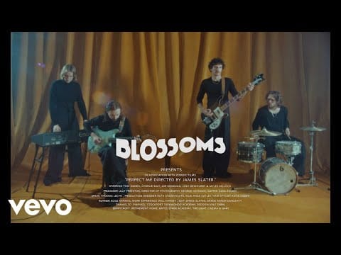Blossoms — Perfect Me