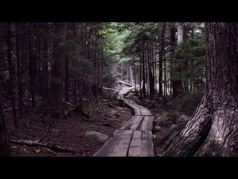 Arve Henriksen — Arve Henriksen - Lament