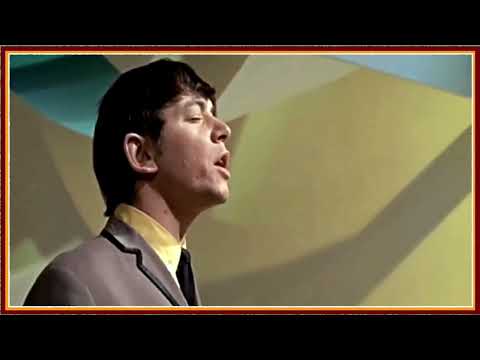 The Animals — 1965-The Animals - Don't Let Me Be Misunderstood (maxi)