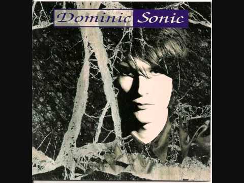 Dominic Sonic — Dominic Sonic : rootless nation