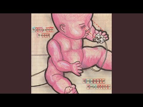 Transparent Sound — Small Indignities