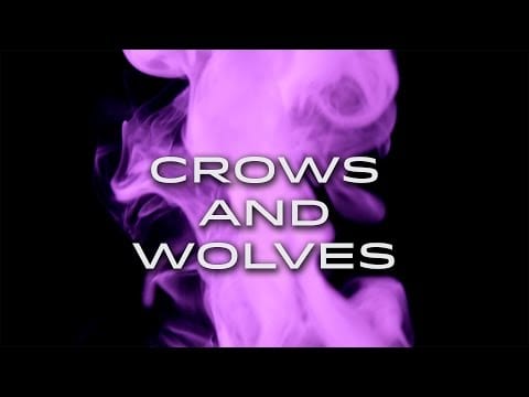 Skyward (6) — Crows and Wolves - Skyward (Official Audio)