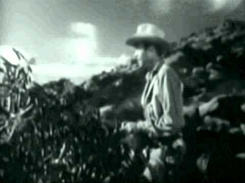 Tex & The Horseheads — Tex and the Horseheads - the slip