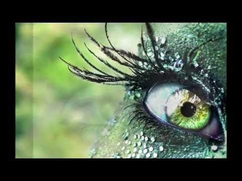 Nick Magnus — Nick Magnus - Veil of Sighs - Inhaling Green