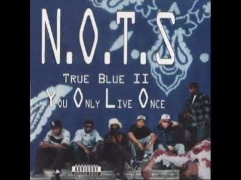 N.O.T.S. — N.O.T.S. - True Blue II: You Only Live Once (1994) [FULL ALBUM] (FLAC) [GANGSTA RAP / G-FUNK]