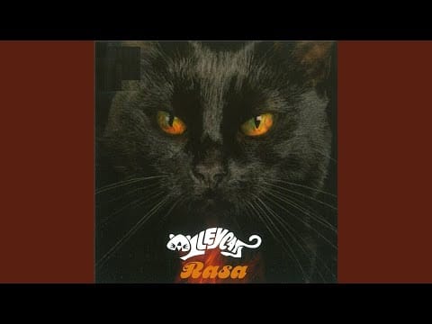 Alleycats (4) — Rasa