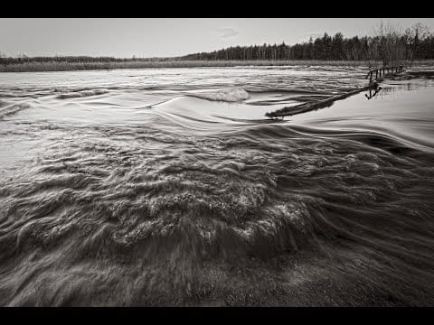 Newspaperflyhunting — newspaperflyhunting - Solaris (full song, 2017)