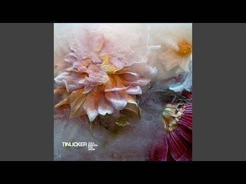 Tinlicker — Strawberry (feat.Nathan Nicholson & Metropole Orkest)