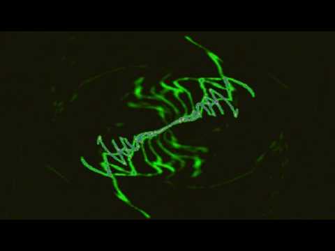 Mark Summers — Mark Summers - Summers Magic (Original)