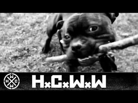 Rise Of The Northstar — RISE OF THE NORTHSTAR - PROTECT YA CHEST - HARDCORE WORLDWIDE (OFFICIAL HD VERSION HCWW)