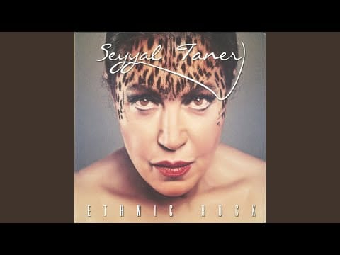 Seyyal Taner — Seni Çok Özledim