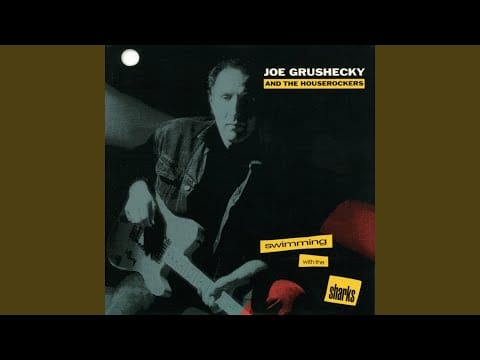 Joe Grushecky & The Houserockers — Killer On The Loose