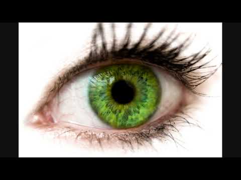 Duo Infernale — Duo Infernale - "The Enlightenment"