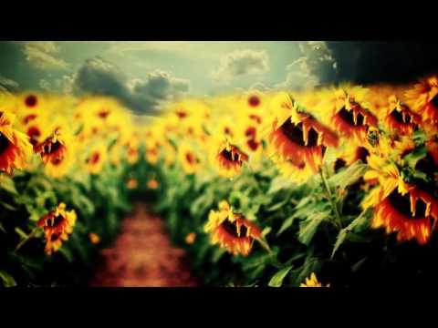 The Smoking Trees — The Smoking Trees 'Victoria's Garden'