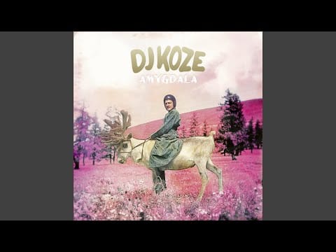 DJ Koze — Amygdala