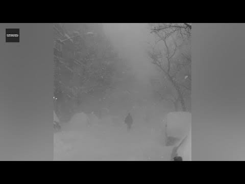 Selena Gomez — Cashmere Cat - Trust Nobody (Clean Version) ft. Selena Gomez & Tory Lanez