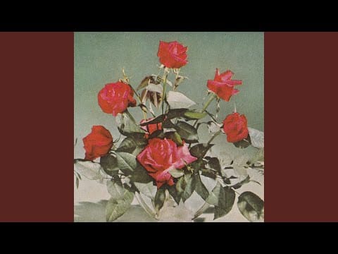 White Poppy — In the Sun