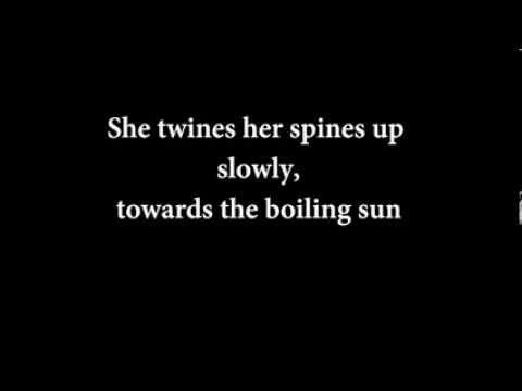 The Handsome Family — The Handsome Family - Far From Any Road (Lyrics)