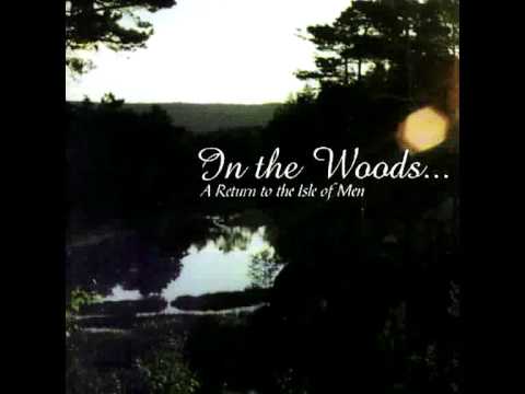 In The Woods... — In the woods... - Wotan's Return (Demo)