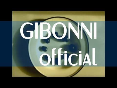 Zlatan Stipišić Gibonni — Gibonni - Projdi vilo