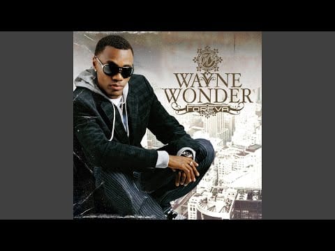 Wayne Wonder — The Way You Love Me