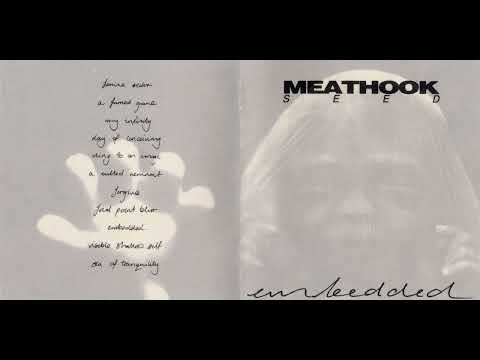 Meathook Seed — Meathook Seed – Embedded