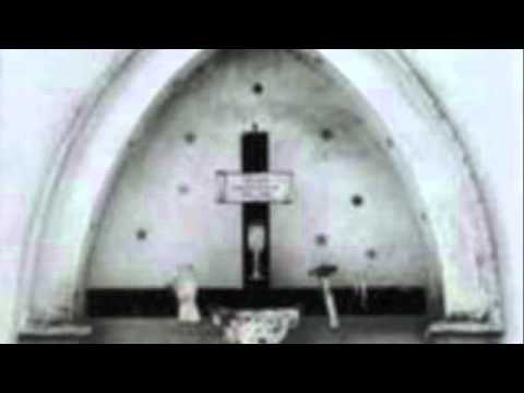 The Zen Circus — Zen Circus - Milk Legs