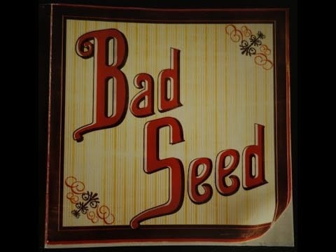 Bad Seed — Bad Seed - Bad Seed (1995) (Full Album)