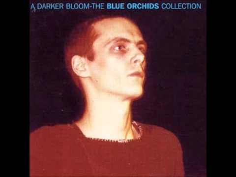 Blue Orchids — Blue Orchids- Thirst.wmv