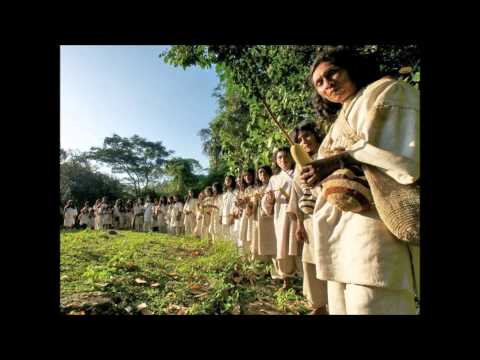 Bernard Lavilliers — Bernard Lavilliers Gentilshommes de Fortune.wmv
