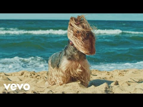 The Futureheads — Good Night Out