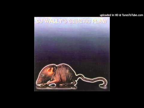 DJ Wally — Dj Wally - Mustard Plaster
