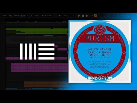 Enrico Mantini — Enrico Mantini feat. X Woman - What U Want Chris Stussy & Djoko Remix (Ableton Remake)