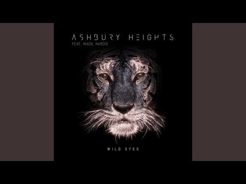 Ashbury Heights — Wild Eyes (feat. Madil Hardis)